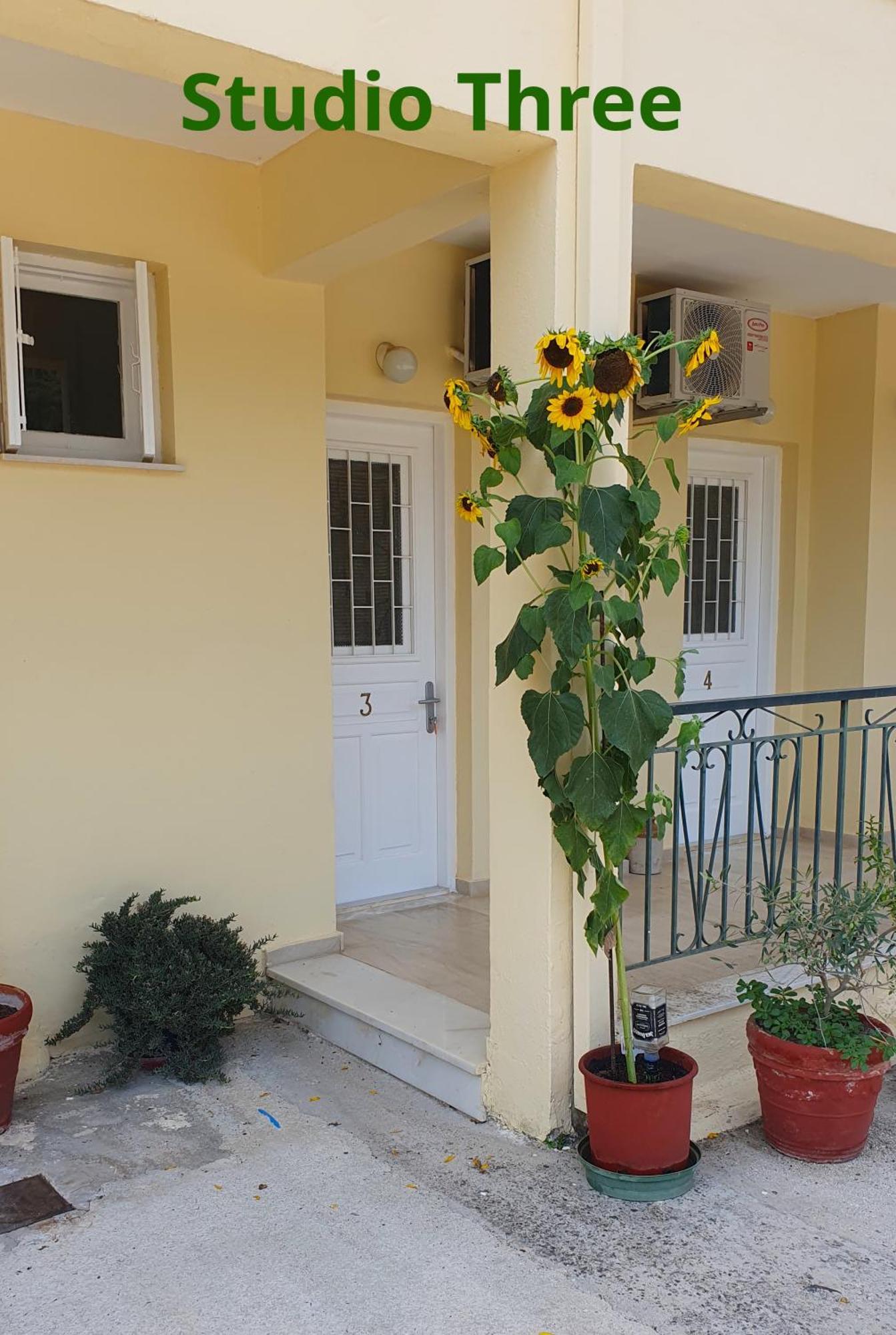 Kivotos Apartment *